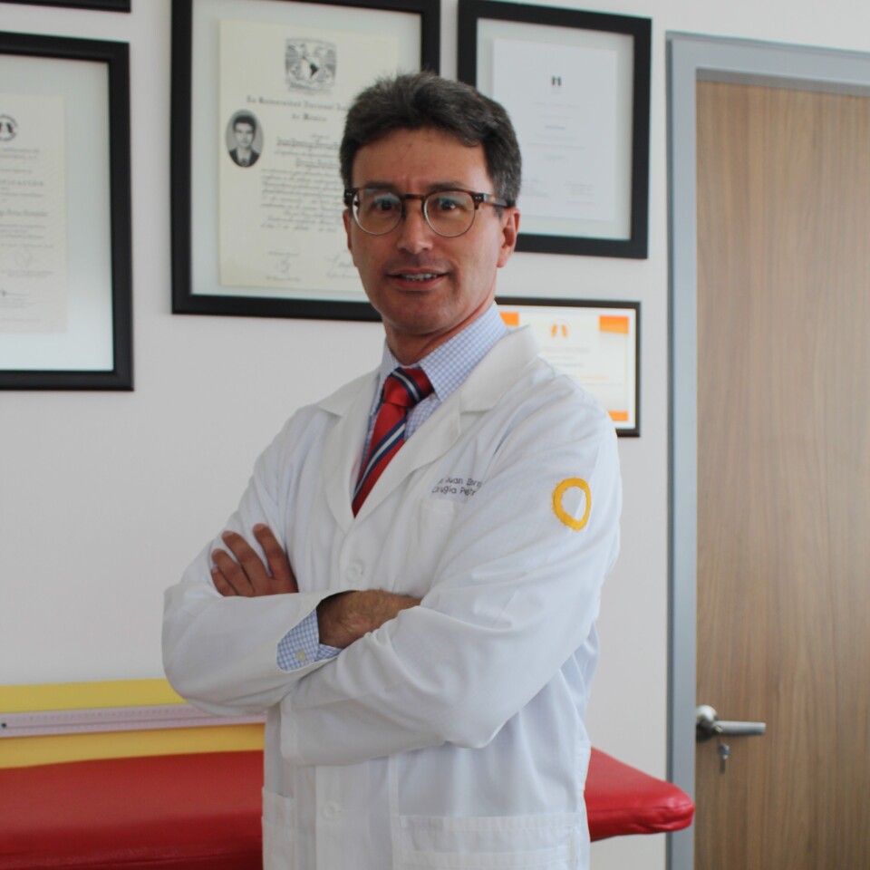 Dr. Juan Domingo  Porras Hernández