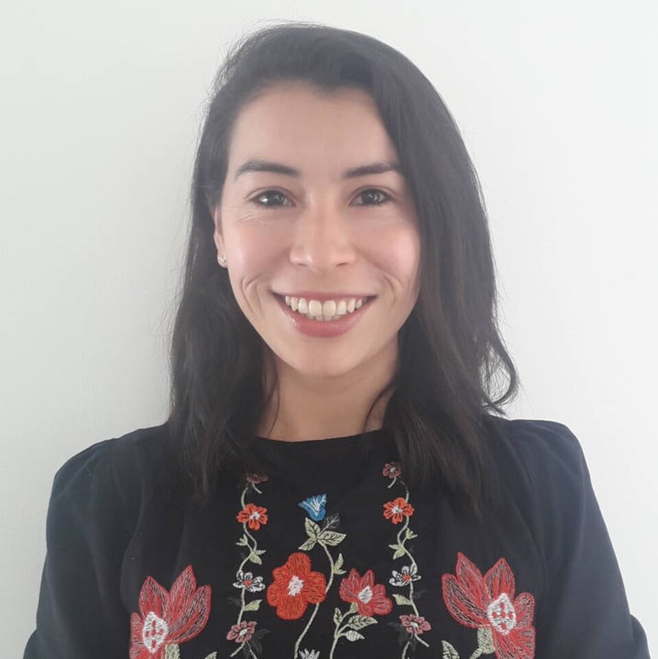 Lcda. Dina Marcela  Pinto Ramírez 