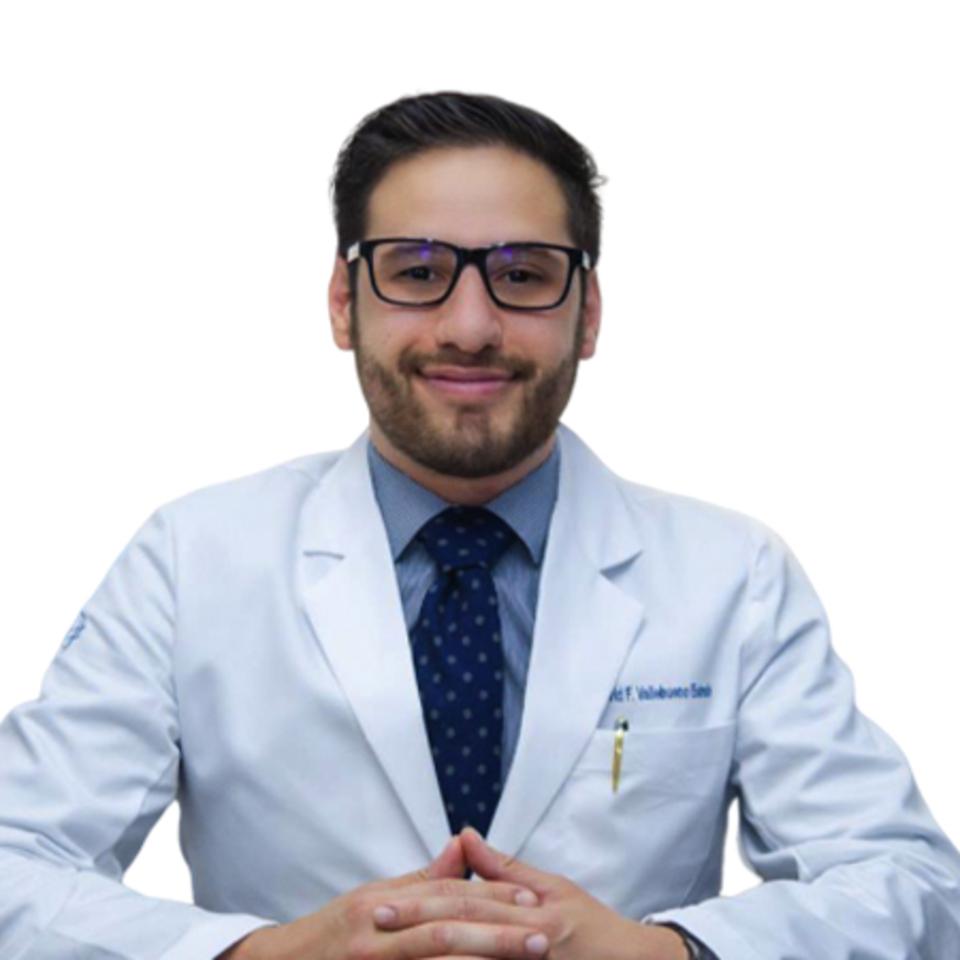 Dr. David Fernando  Vallebueno Estrada